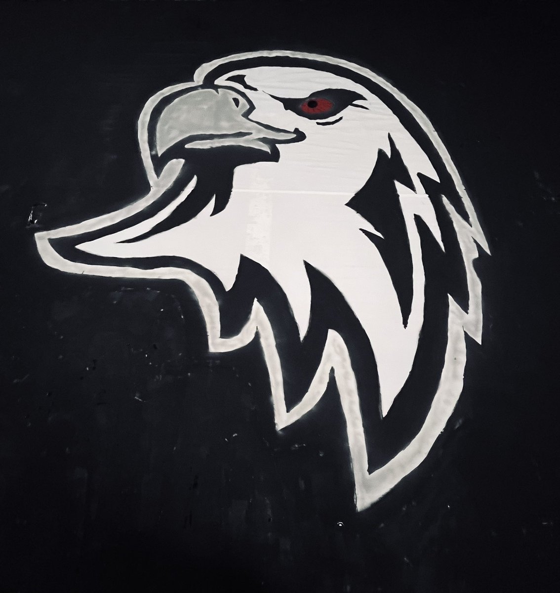 KARA KARTALIN YUVASINDAYIZ 🦅