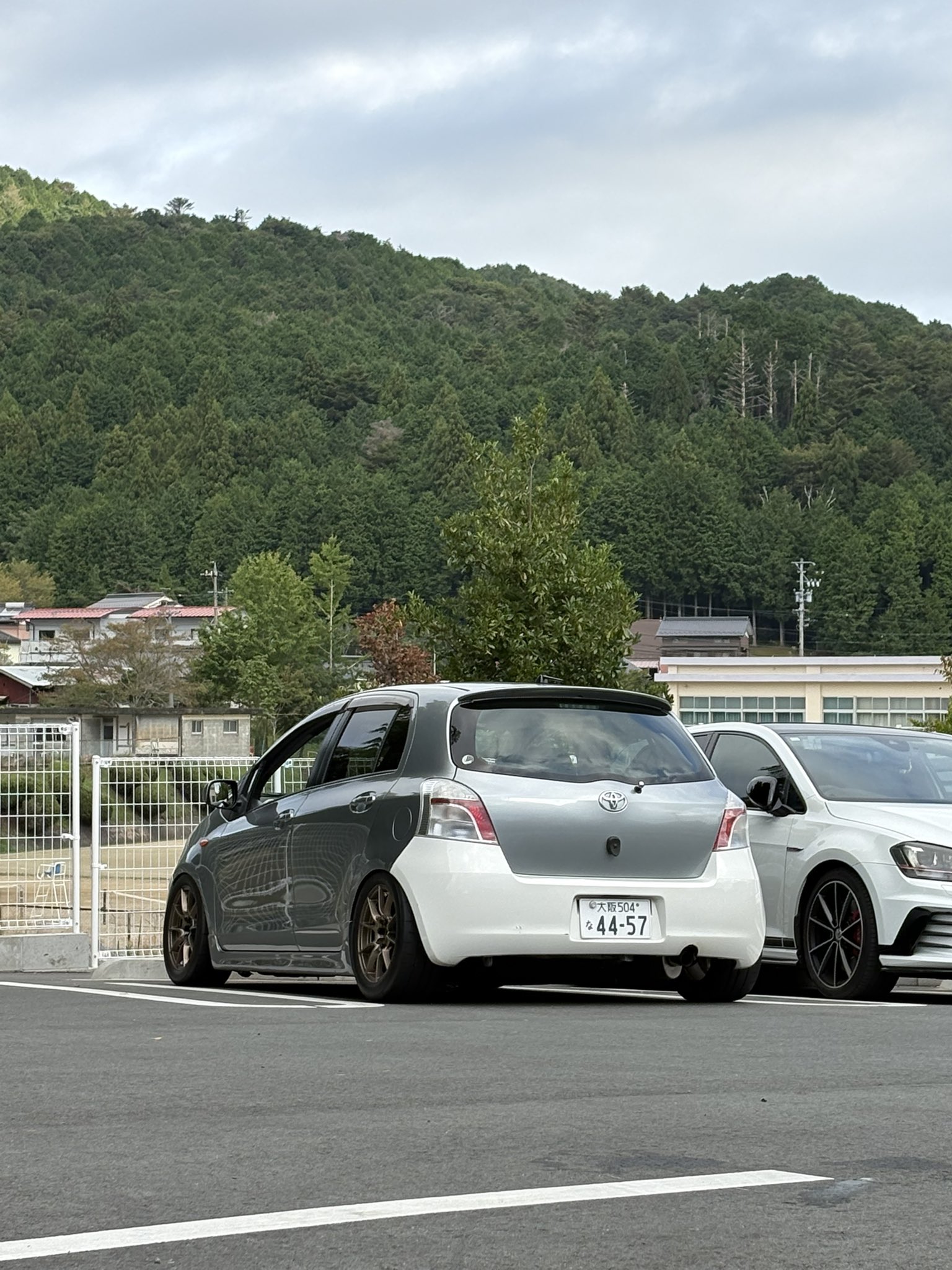 がじゅまるです。 imgrc0108346914.jpg