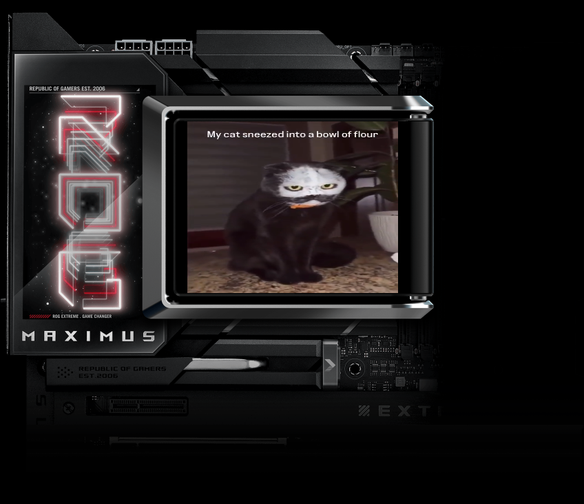 ntender's tweet image. 