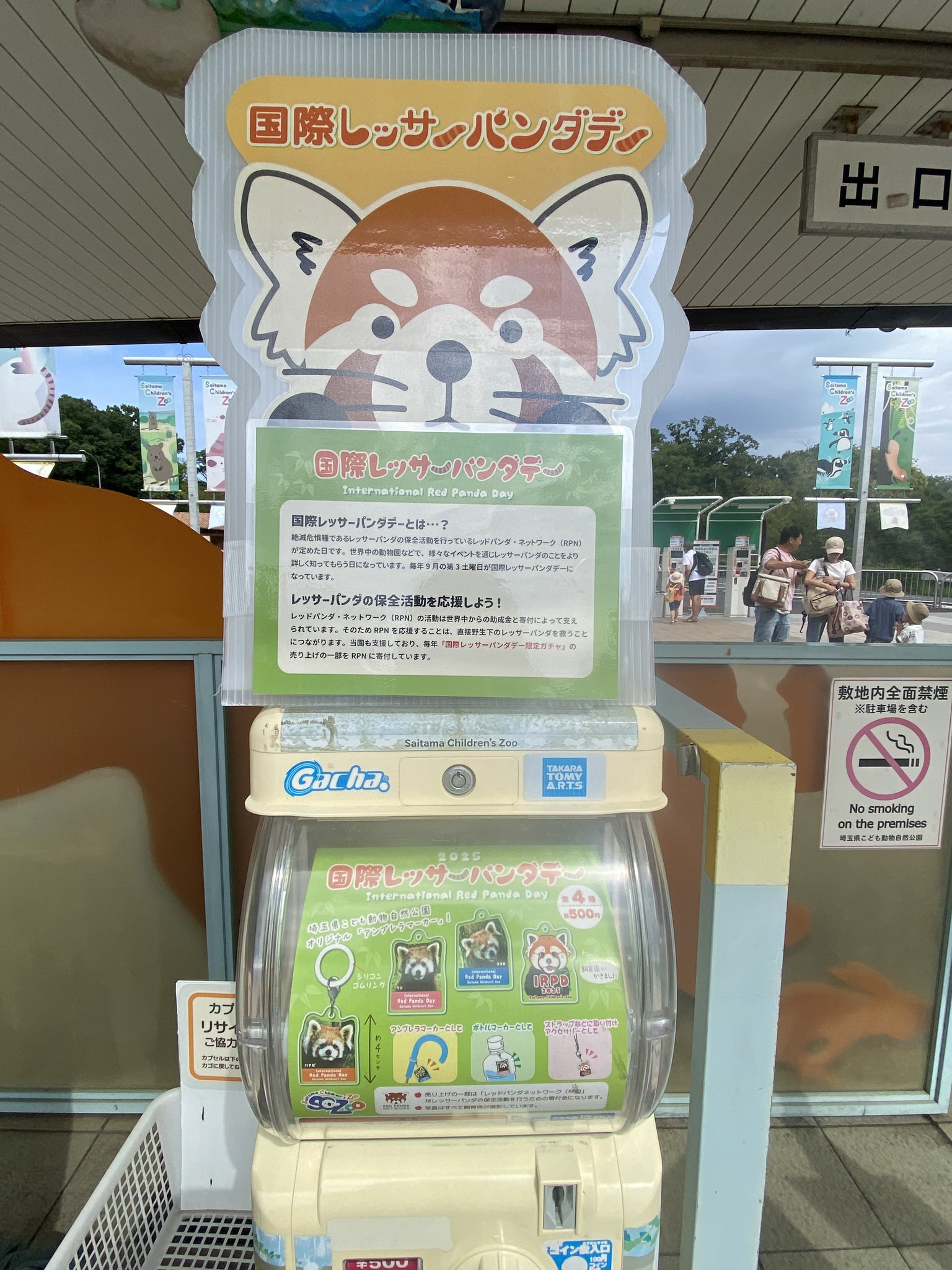 くまパンダ出品⑤ 2457052943.jpg?1734182796