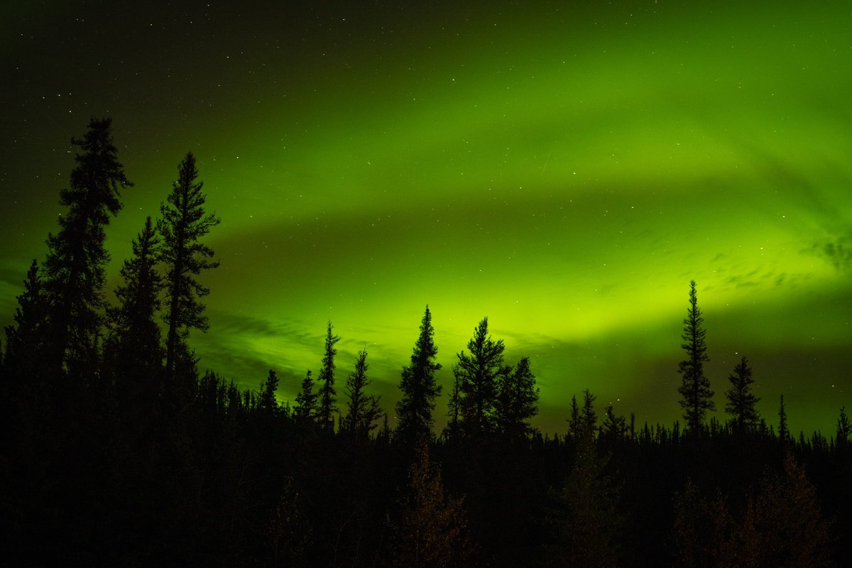 Smokey and the Vandit tweet media