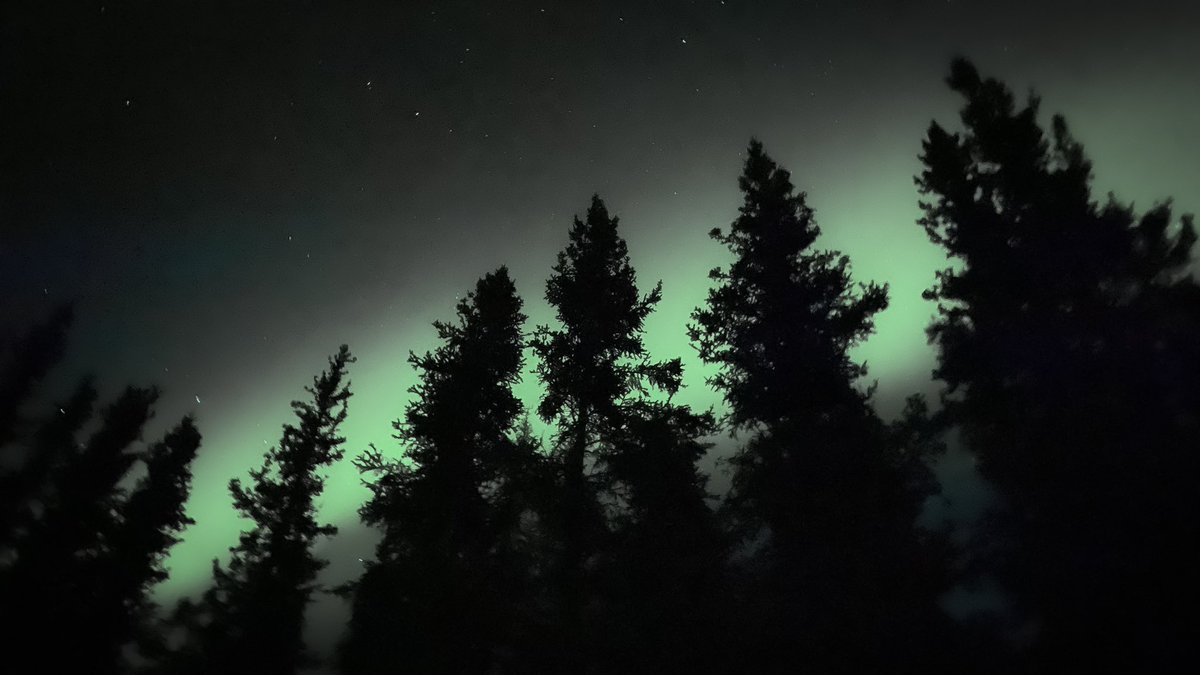 Smokey and the Vandit tweet media