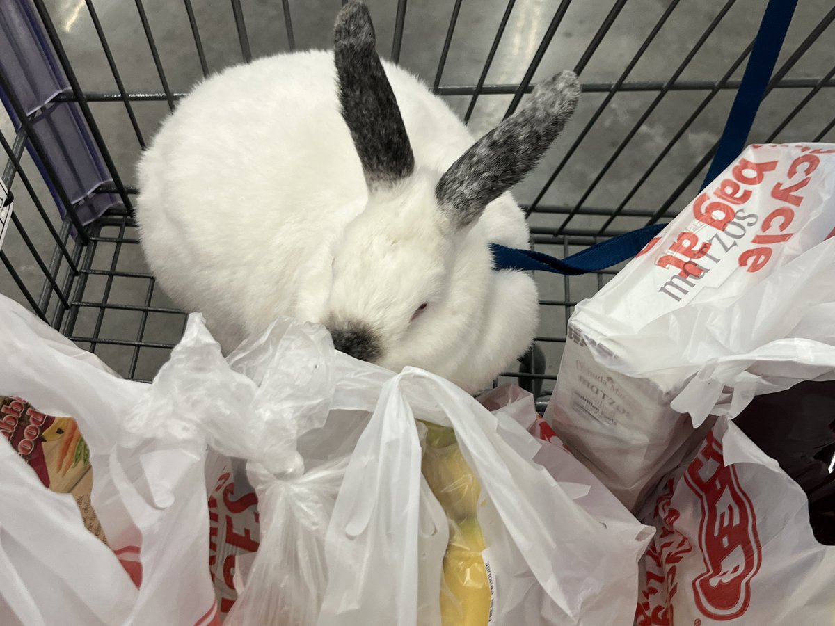 another day another grocery run with the baby