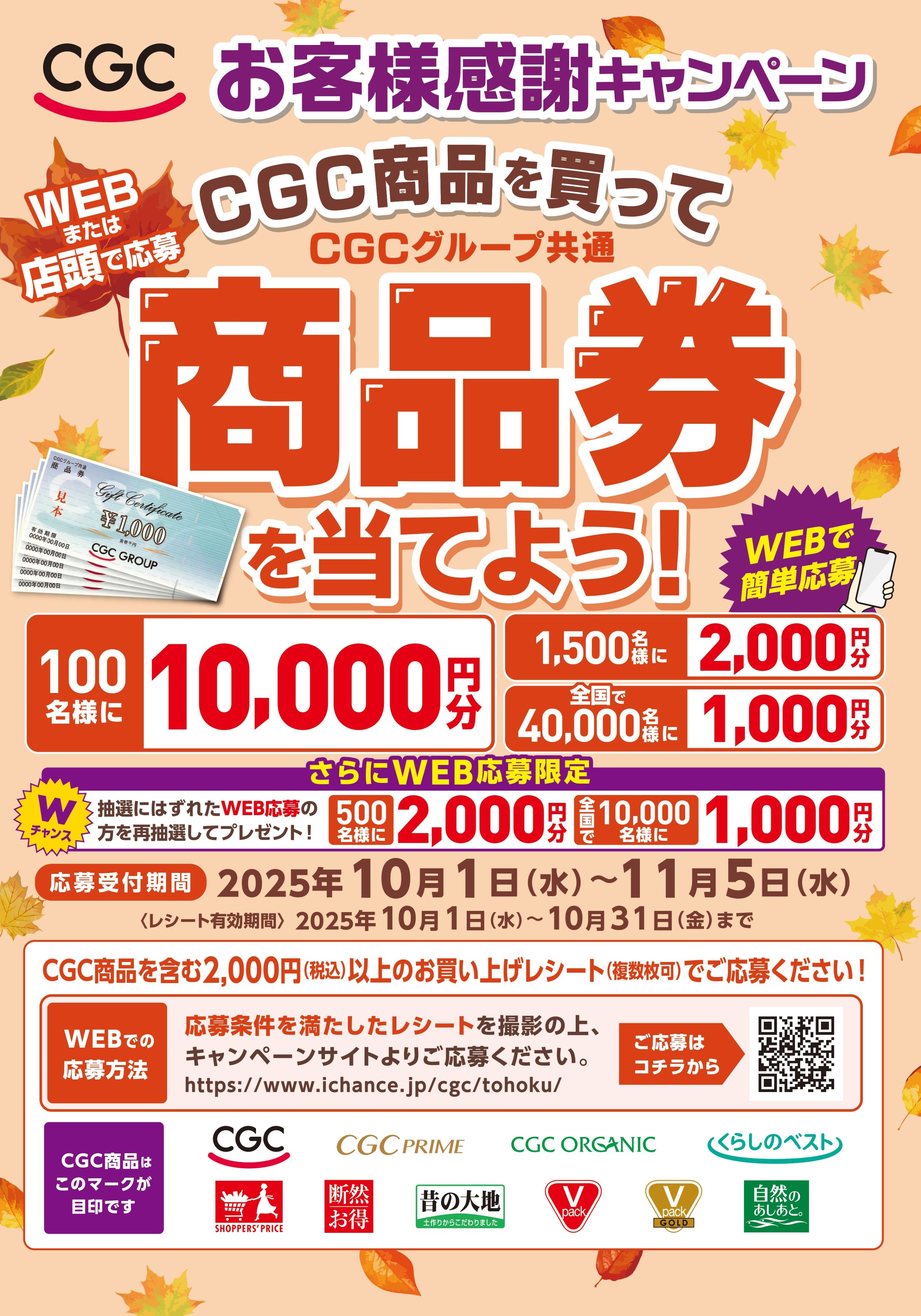 マエダ【公式】 on X: 