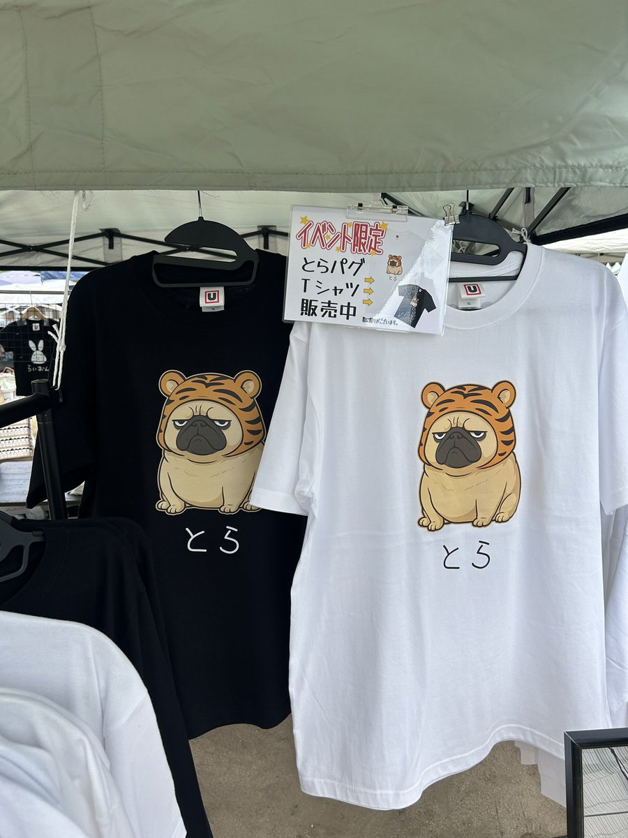 usot_usot_usot's tweet photo. ひょうごまちなみガーデンショウ
本日は15:00迄です。
#usot https://t.co/fpfmBOuRIR