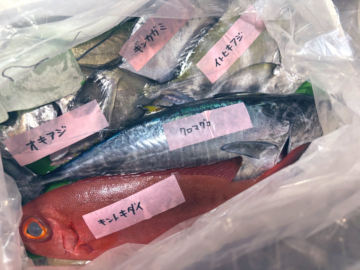 hinako_meshi's tweet photo. 最近の趣味
#漁師さん直送市場 https://t.co/eS8YqcTIVH