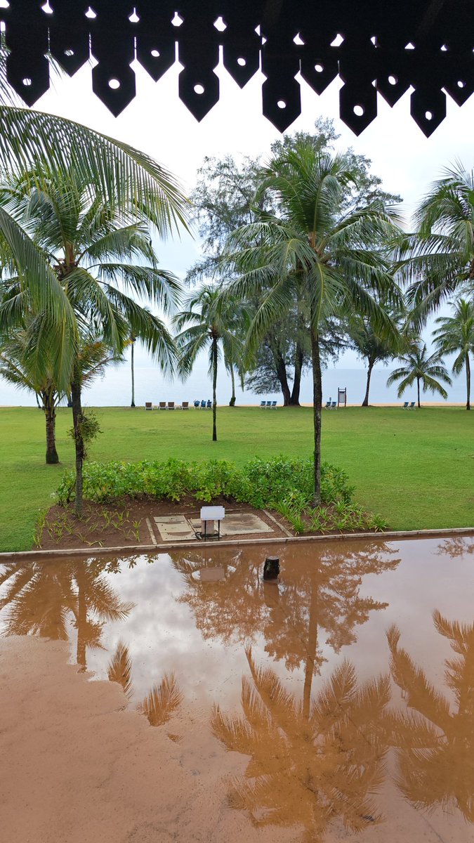 有没有人在这里？
#马来西亚