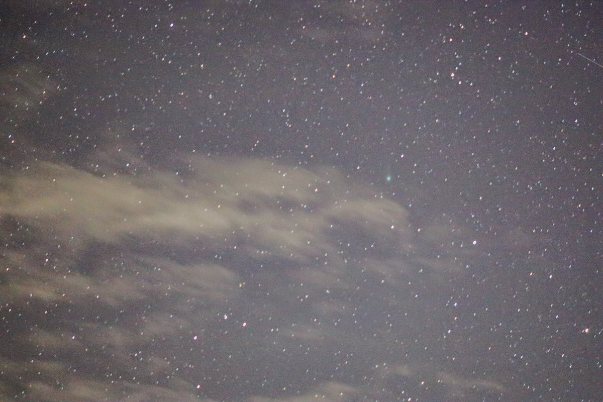 NiiNiikazux's tweet image. やはり明るいレンズ！
明るいレンズは全てを解決する！

主人がレンズとポーラメーターを貸してくれたから撮れました

大きくなーれ
大きくなーれ😆

＃C2025A6Lemmon