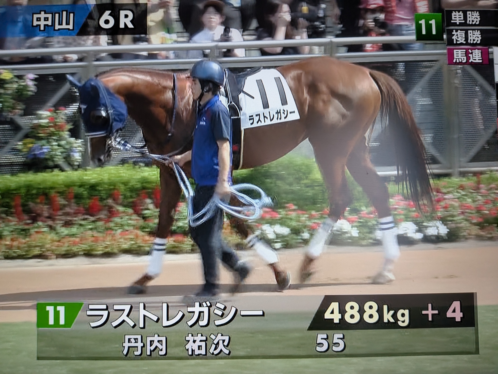 中山6r - Search / X