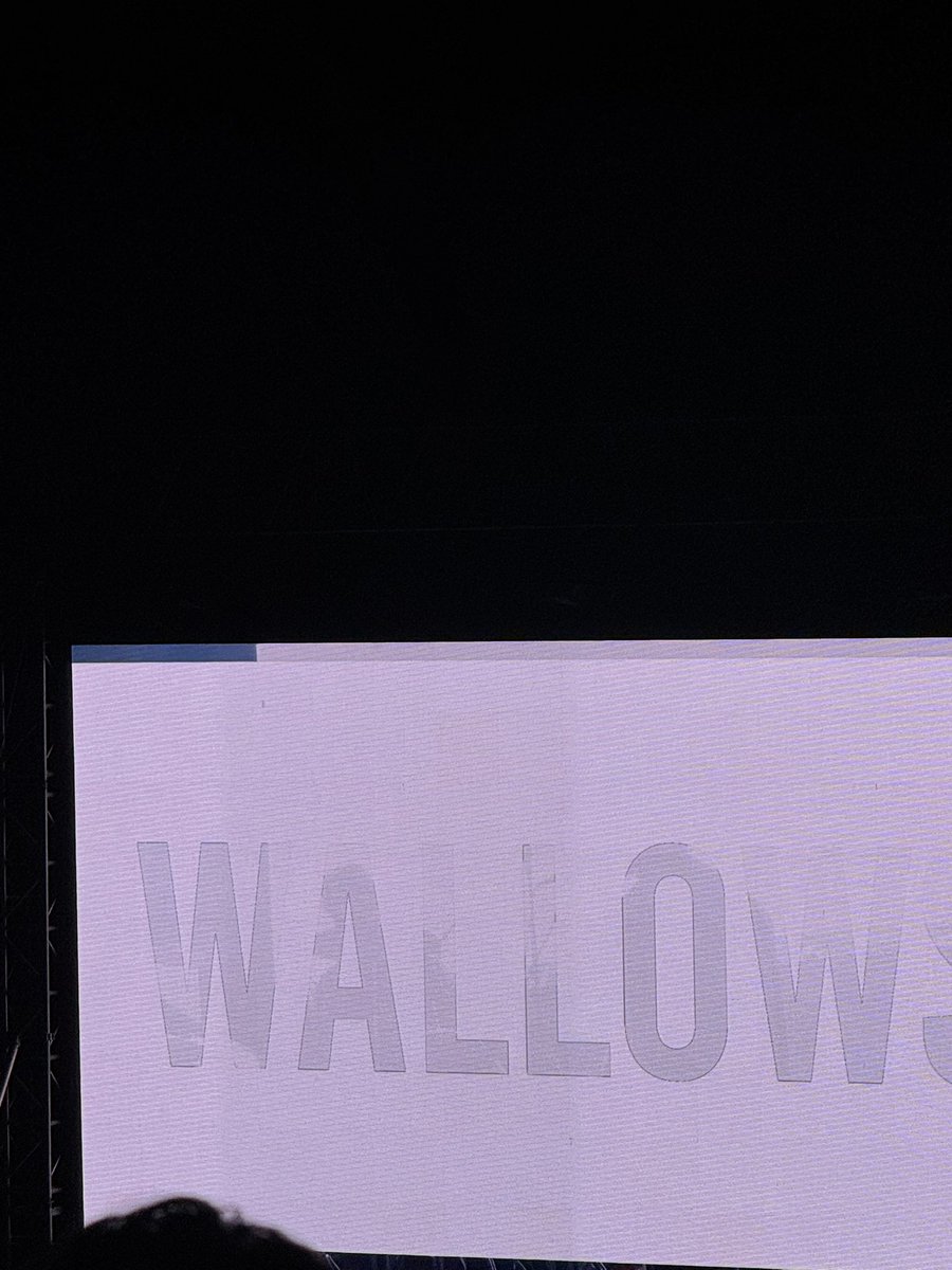 icecoledfool's tweet photo. It was raining and there was sooo many people but loved reuniting with wallows https://t.co/48iCZyTfjZ