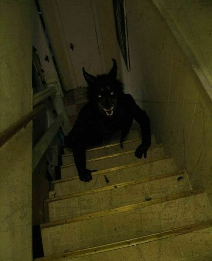 Sharktoshi Byte Moto tweet media