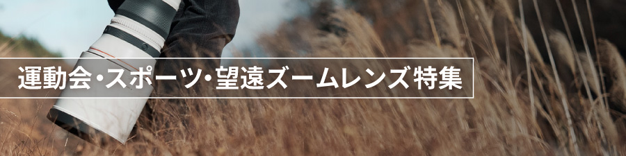 ❤️秋の運動会に❗️Canon望遠レンズ キャノンの望遠レンズの選び方】｜風景・運動会に強いモデルは