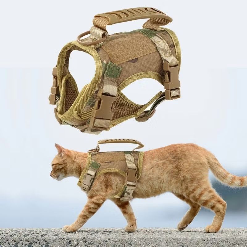 MNellyboy's tweet photo. Check out K9 for small dog Tactical Cat Harness Leash for Walking Escape Proof Adjustable Kitten K9 Vest with Patch for Military Service Small Dog Training for ₱369 - ₱399. Get it on Shopee now! https://t.co/nCdPuD3niQ https://t.co/MFvWBnIvem
