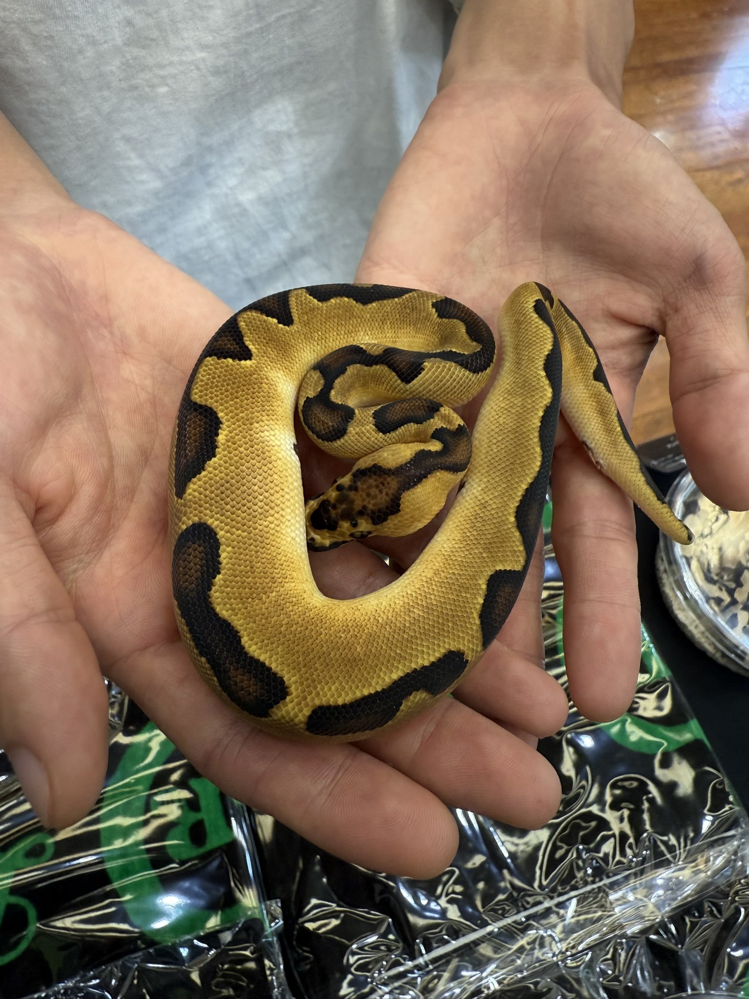 記念ボール&ピンバッジ お知らせ 2022年07月09日 | THE SEIKO MUSEUM GINZA セイコー