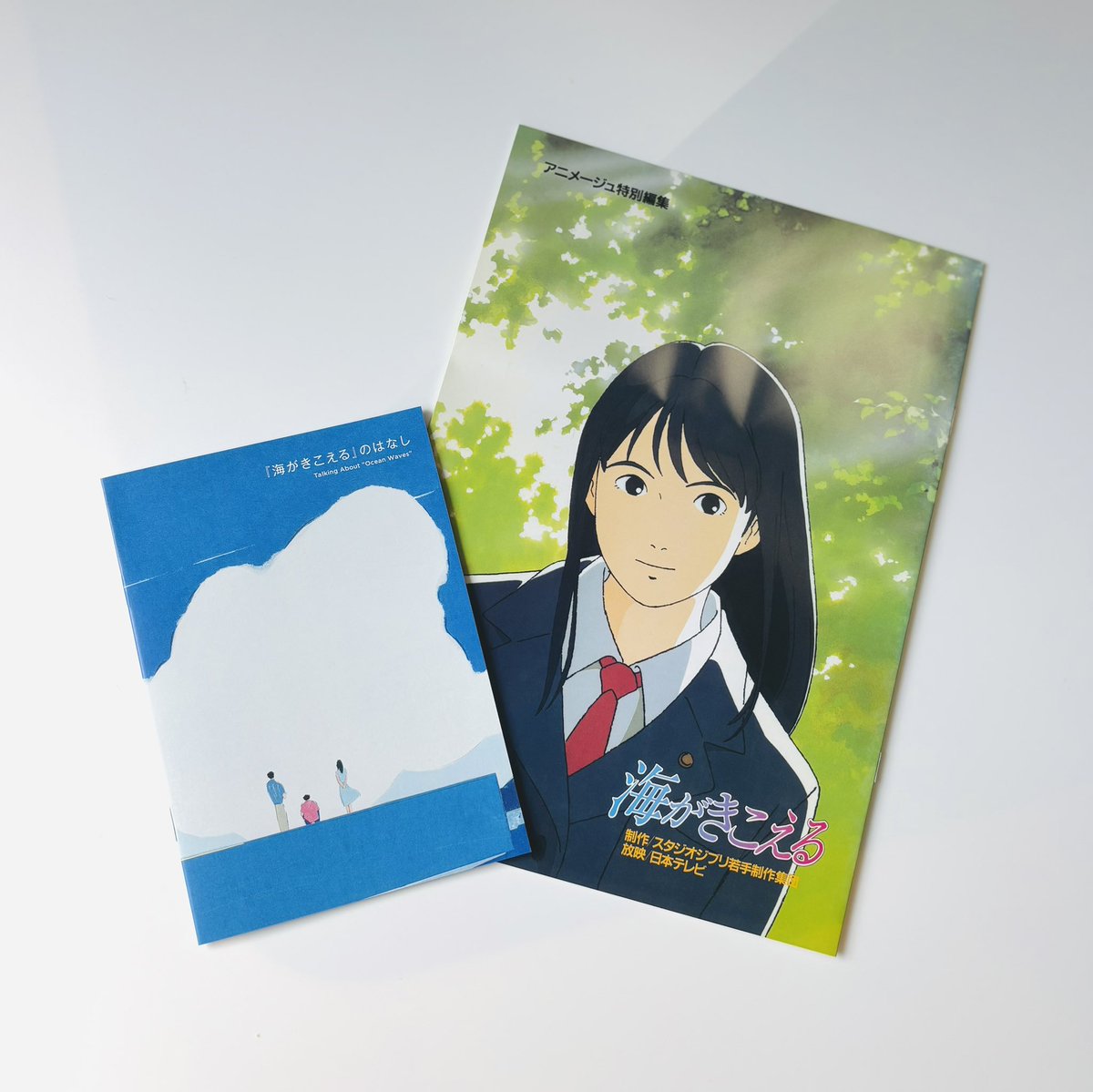 旅行本 パンフレット Amazon.co.jp: BK120サ○パンフレット 国立公園 淡路島 洲本