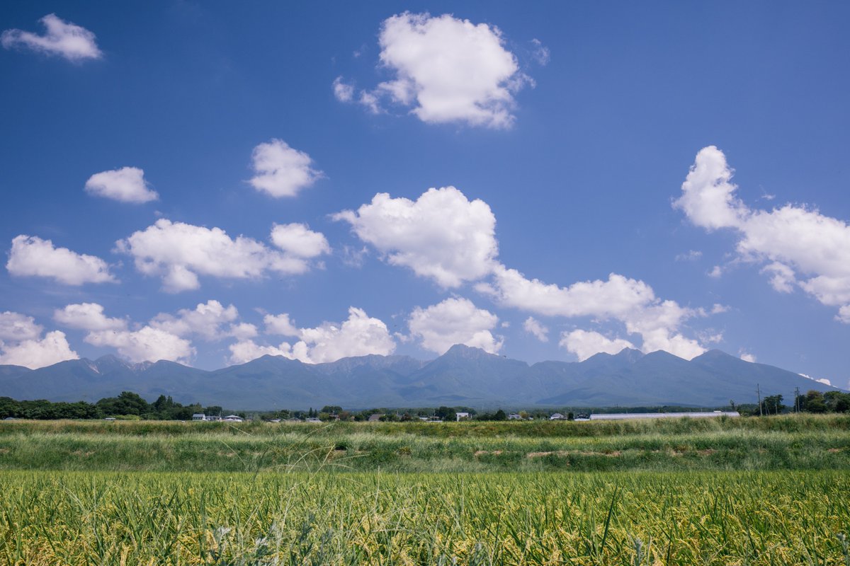 【NEW！】
八ヶ岳西麓が育む個性豊かなワインを求めて
👉lnky.jp/rfUF639
冷涼な高原に位置する「八ヶ岳西麓ワインバレー」が新たなワイン産地となりつつあります。

ここでワインづくりに取り組む双子の姉妹を訪ね、この地を満喫するスポットをめぐりました。

#県公式観光サイトGoNAGANO