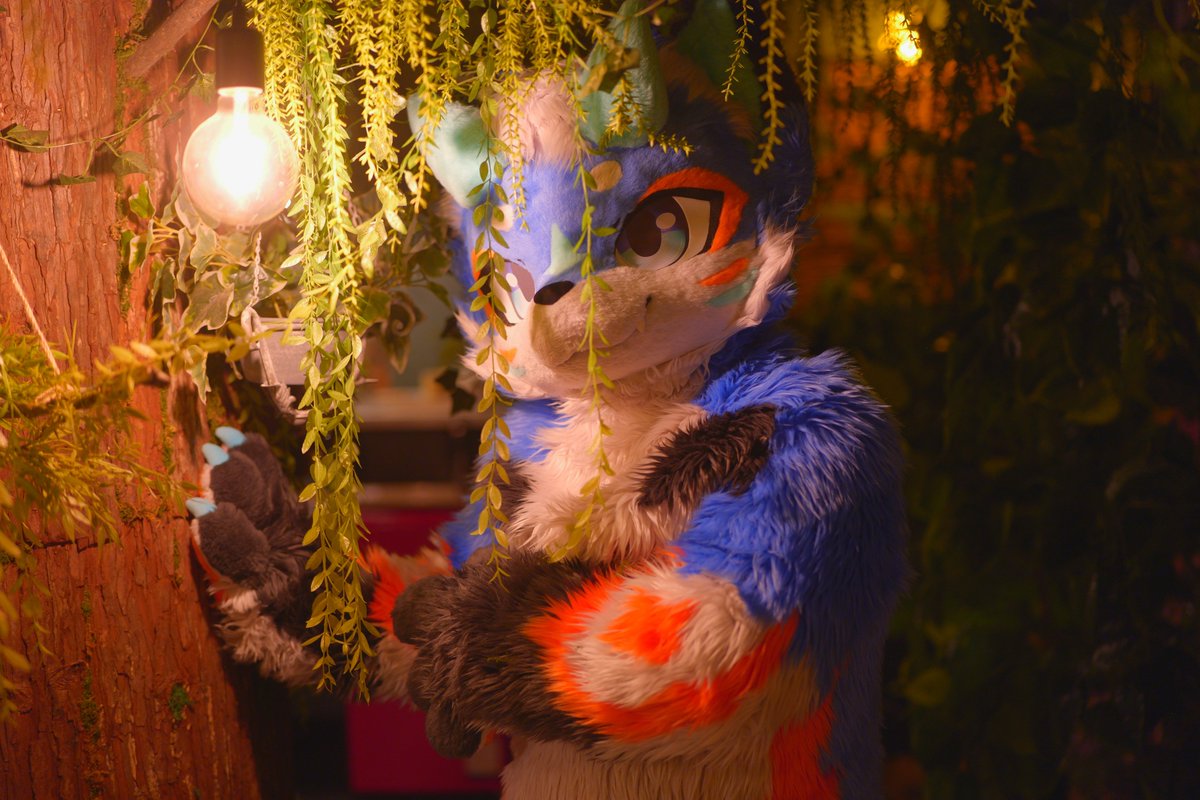 📸<a href="/mercer_MRC/">머서</a> 

#FursuitEverday