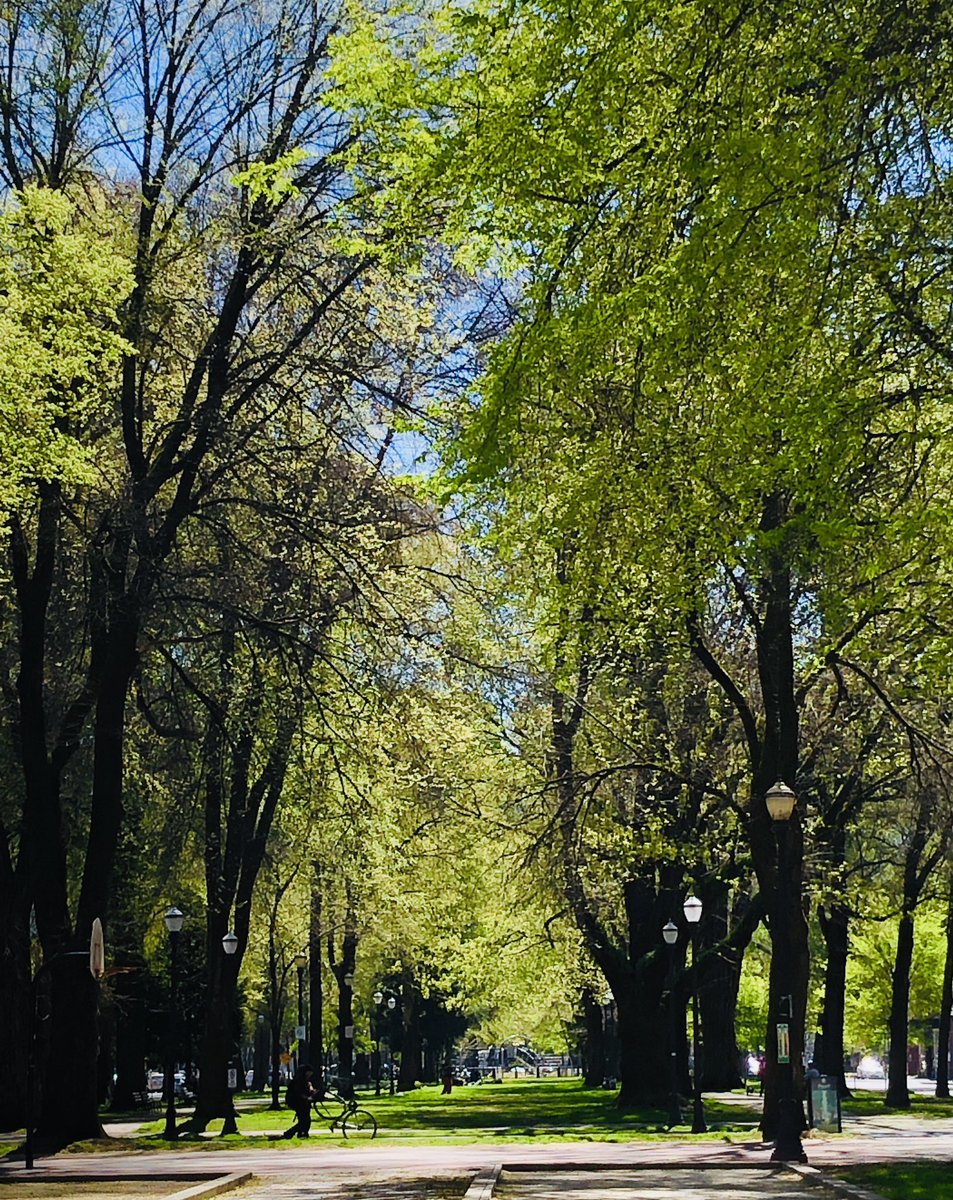 Ohdaneit's tweet photo. @edtalkx @bryanbehar Glad you found some obscure pics from 4 years ago off the internet from during the pandemic but this is what Portland looks like today. #pdx #antifaportland #Portland https://t.co/RT2wDuqcgj