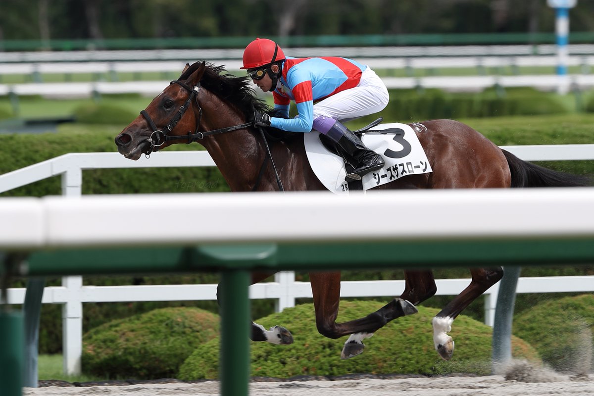 【中古】 爆勝！競馬激本 武豊の馬券がぜ～んぶわかる！/双葉社 中古】 爆勝！競馬激本 武豊の馬券がぜ～んぶわかる！/双葉社