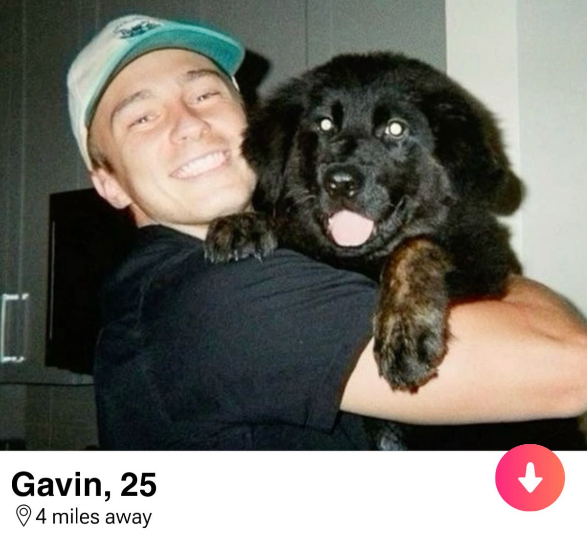 ‎‎ ‎‎ ‎ ‎‎ ‎ ‎‎‎‎ ‎‎ ‎‎ ‎ ‎‎ 𝗿𝗶𝗱𝗲 𝗼𝗿 𝙙𝙞𝙚. tweet media