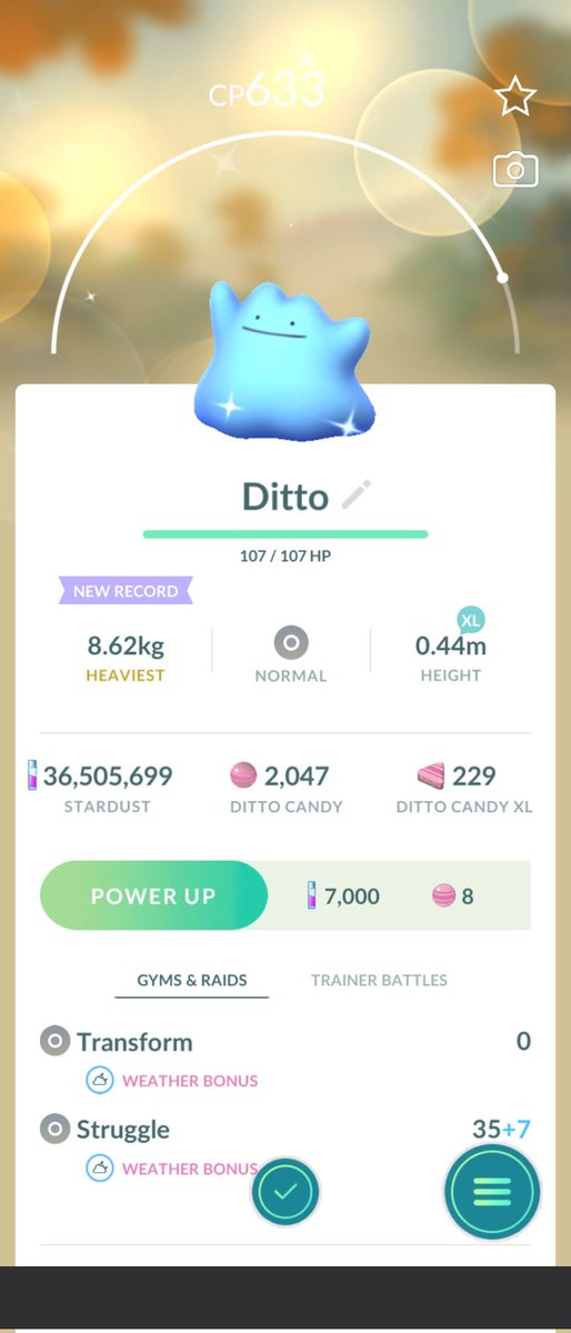 Omg 😱 just caught shiny ✨ Ditto 😍

#pokemongo #pokemon #gaymer #teaminstinct #shinyhunter #ShinyPokemon
