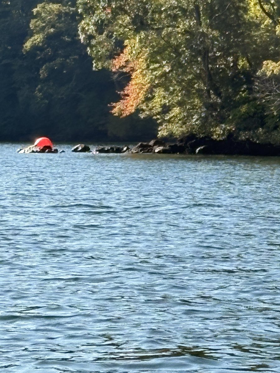 岩🪨大好きおじさんだから、野尻湖に初めて来た時、ここの岩にボディーシャット5インチノーシンカー投げてラージって思い出がある