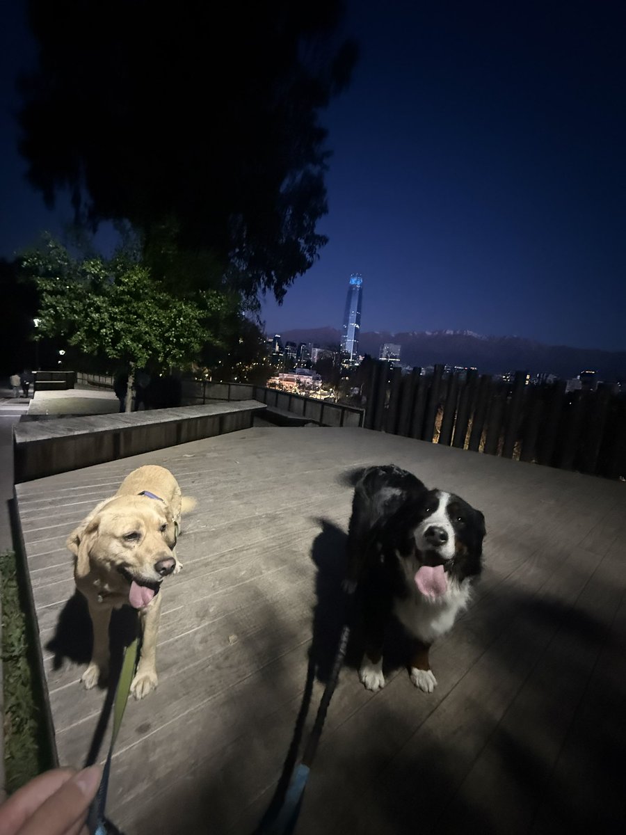 De pet sitter  y paseo al cerro 😍