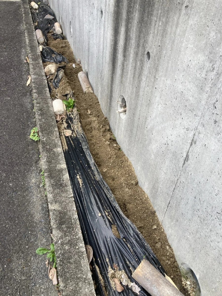 SetoSometsuke's tweet photo. 助手「駐車場の花壇が荒らされてます！！」

先生「イノシシかしら。葉の付いているアジサイ3株だけ無被害ね。葉が落ちて生存が怪しかったアジサイと、助手ちゃんの食べ残しのアボカドの種が掘り返されているわ」

助手「アボカドパラダイスの夢がー！」

先生(一株では受粉しないって知らないのね) https://t.co/KvlsqqQgv0