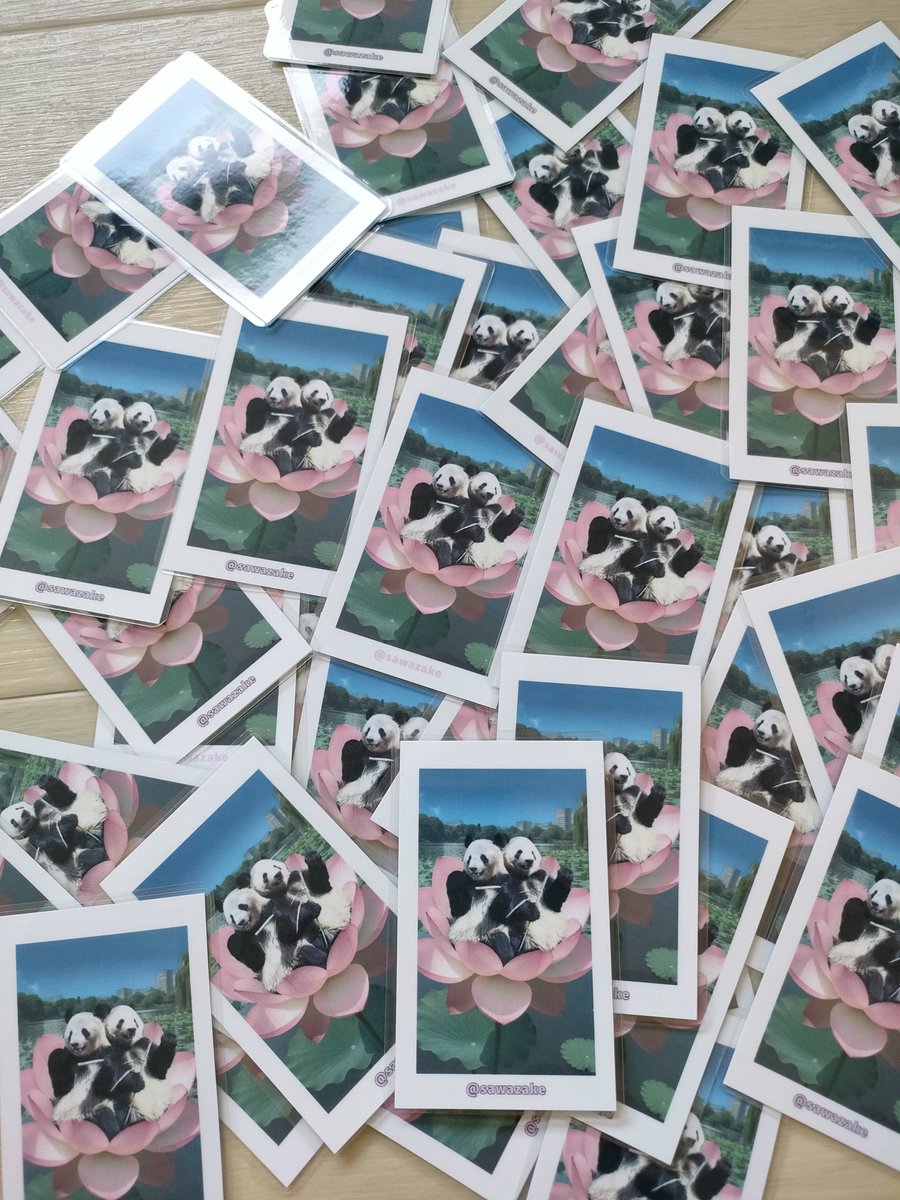 #光子カード　#シャオシャオ　#レイレイ
靴下屋さんの新作を真似しました
上野動物園で声かけてください
#シャンシャン #xiangxiang #香香 #ジャイアントパンダ #大熊猫 #パンダ #panda #giantpanda #パンダ好き #上野動物園 #uenozoo #大熊猫香香 #熊猫基地 #雅安 #雅安碧峰峽大熊貓基地 #雅安碧峰峡