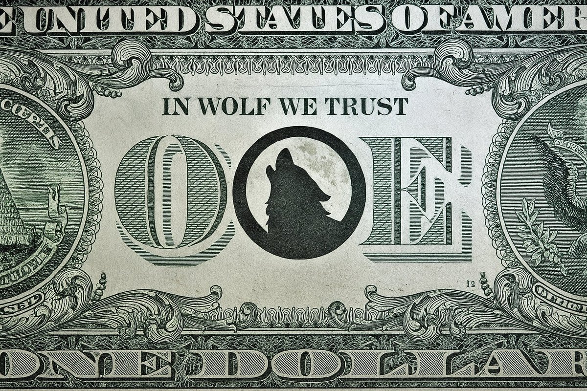 AlphaDrop9's tweet photo. $WOLF https://t.co/xhZOKNbNyO