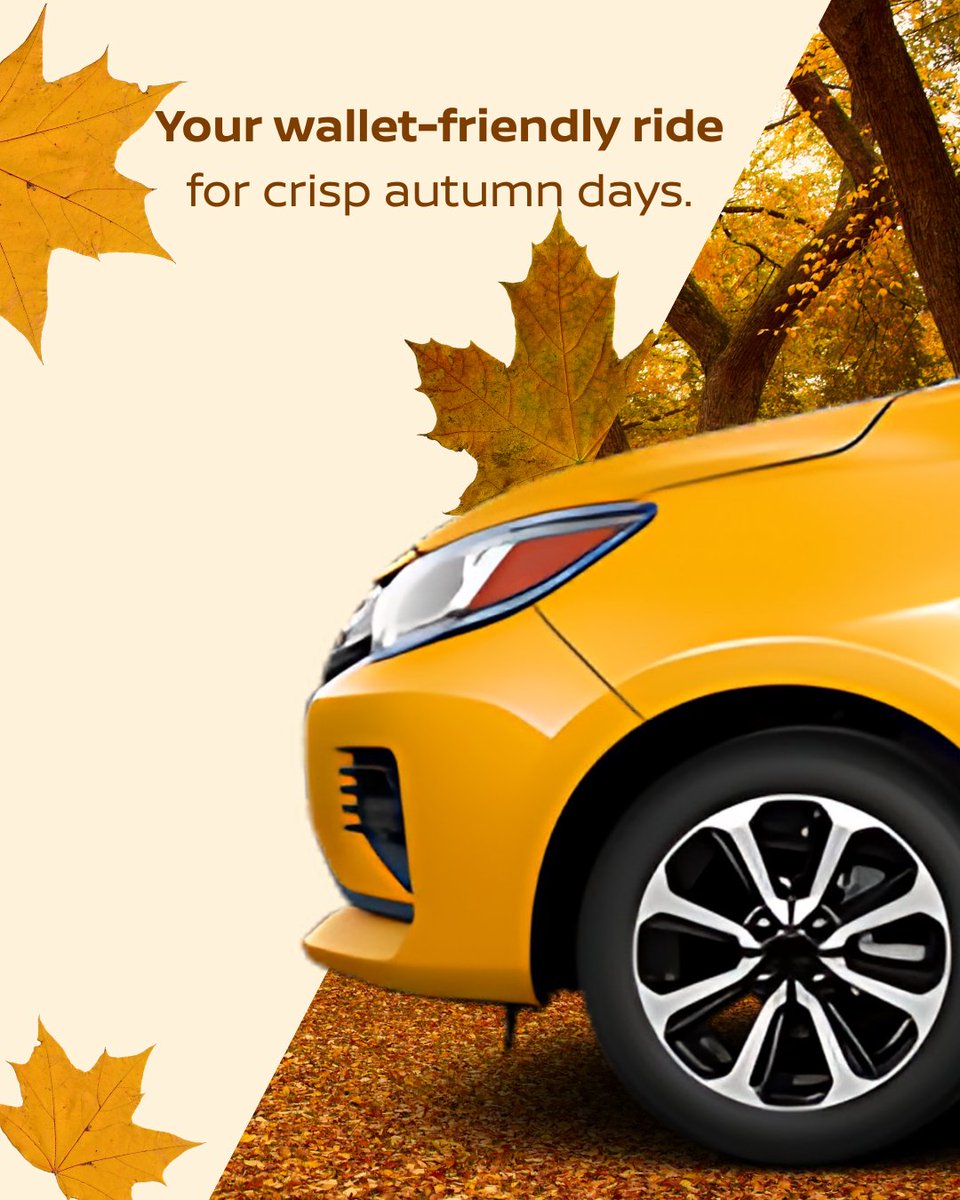 Map, mug, and miles of amber leaves—the perfect fall drive is waiting. 🍂