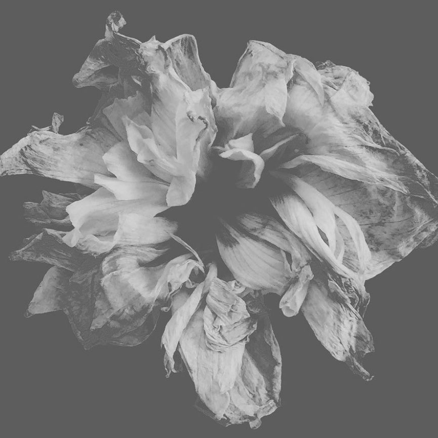 ᅠ ᅠ ᅠ ᅠ ᅠ ✺ ᅠ ᅠ ᅠ ᅠ ᅠ ᅠ ᅠ𝒜𝐑𝐀𝐓𝐀。 #⁰⁰⁵ tweet media