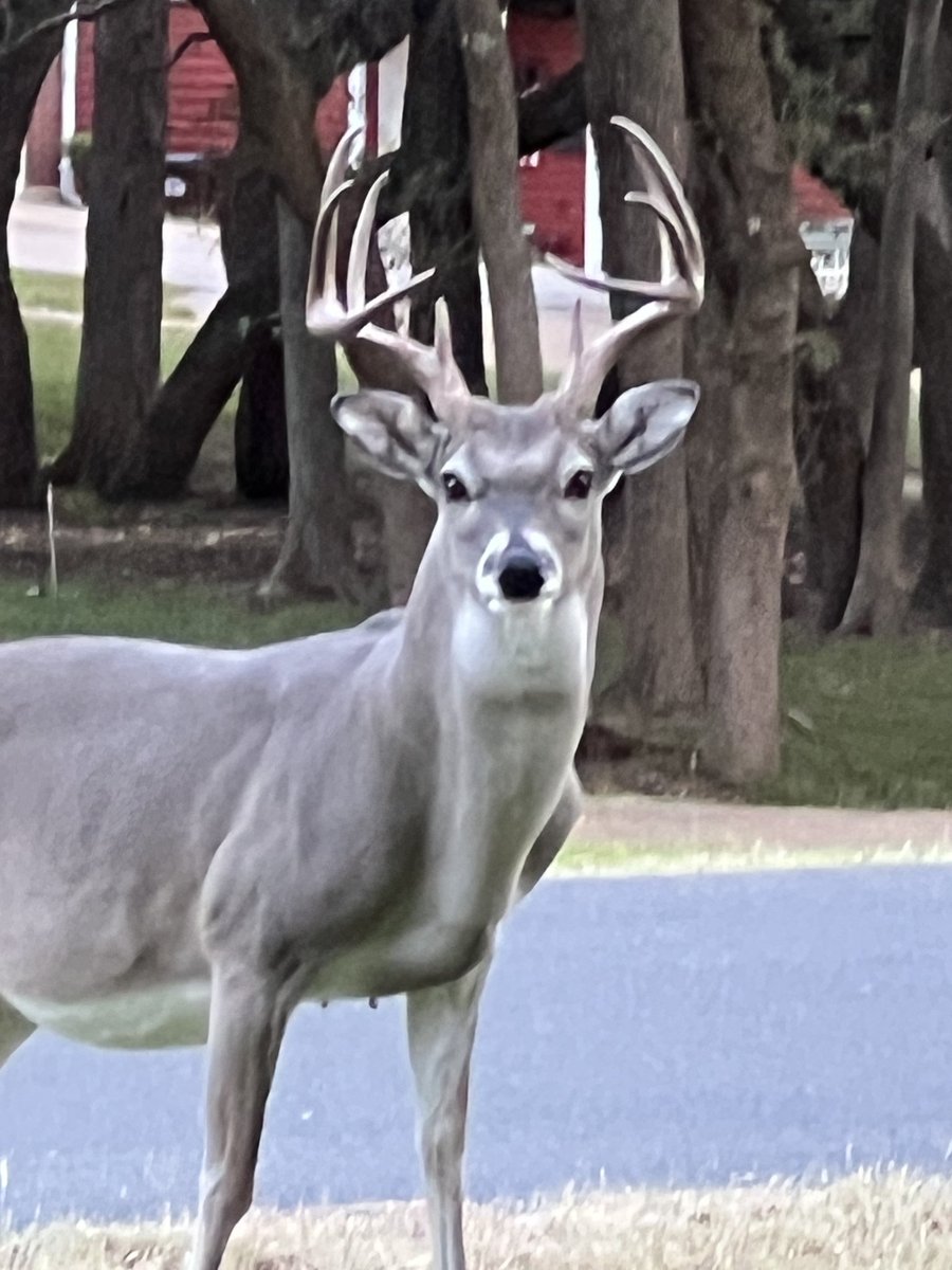 OregonStateMarine tweet media
