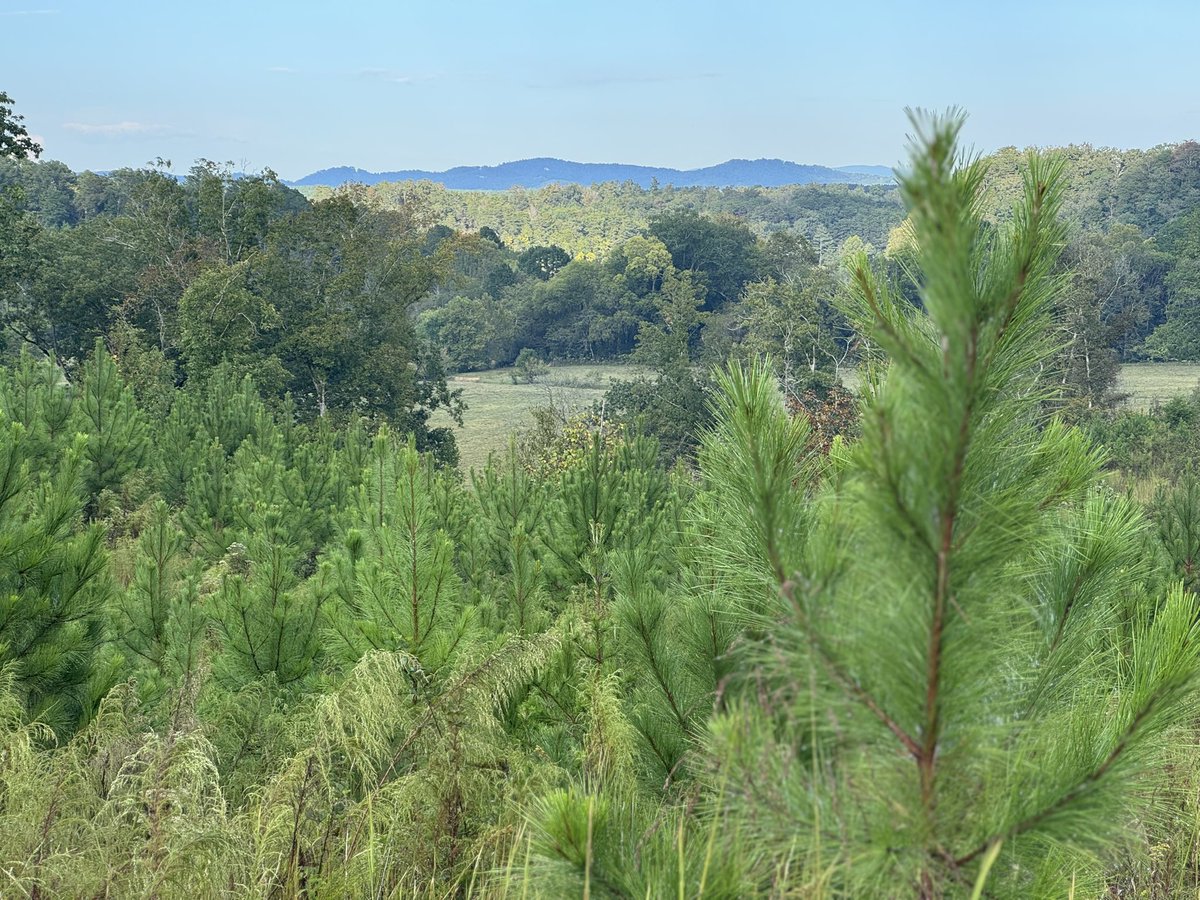 lawyerschiff's tweet image. What a weekend! 

#Goose was incredible for Princess Mini Schiff’s first “real” concert, and now she is off to Homecoming while I chill at camp.

 @GooseBandTrivia @peter_anspach