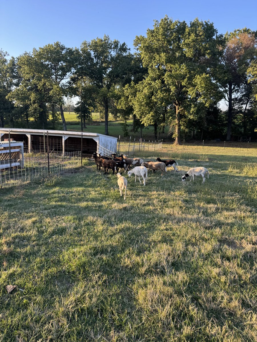 Completed a forestry mulching job for an older gentleman yesterday. Took him his invoice today and ended up talking for almost three hours. He’s 74 and doesn’t look a day over 60.

The first house he moved into after high school still had an outhouse, no indoor plumbing. Moved