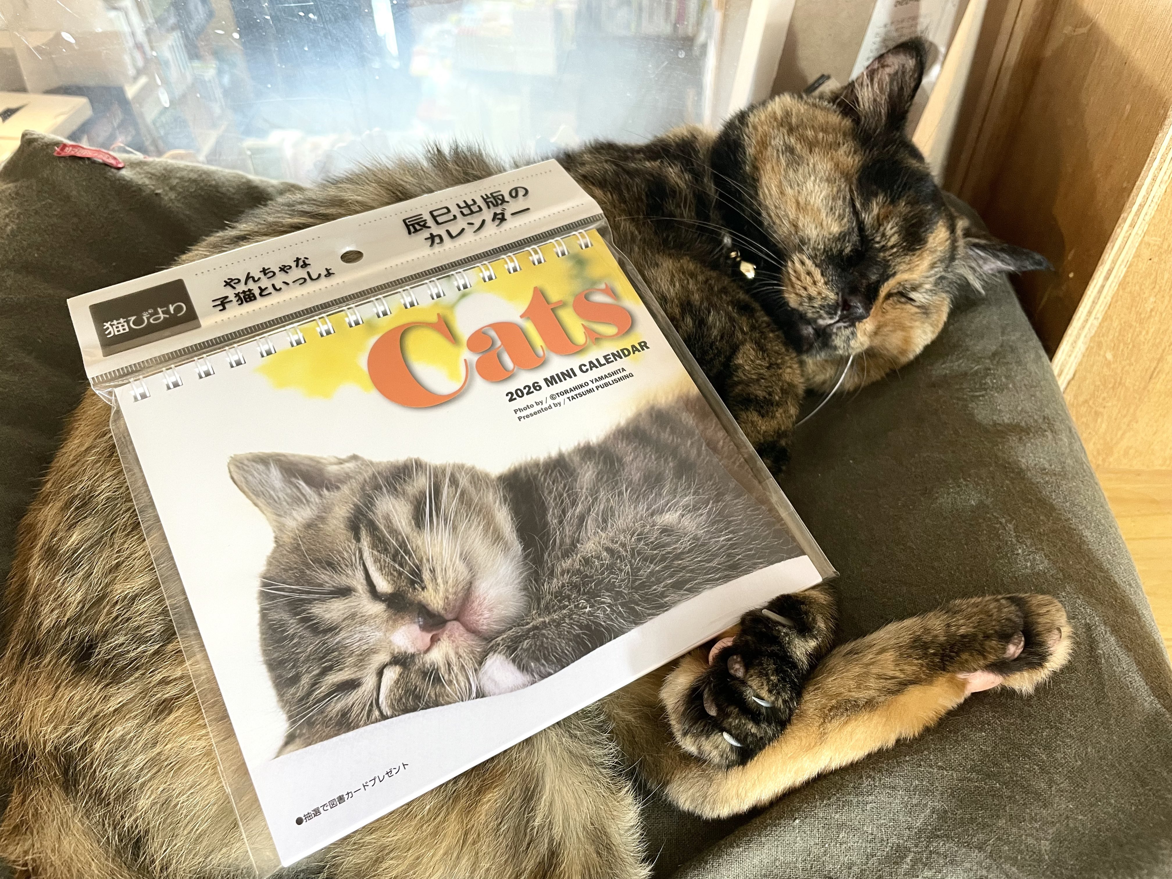 キャッツミャウブックス® (@CatsMeowBooks) / X