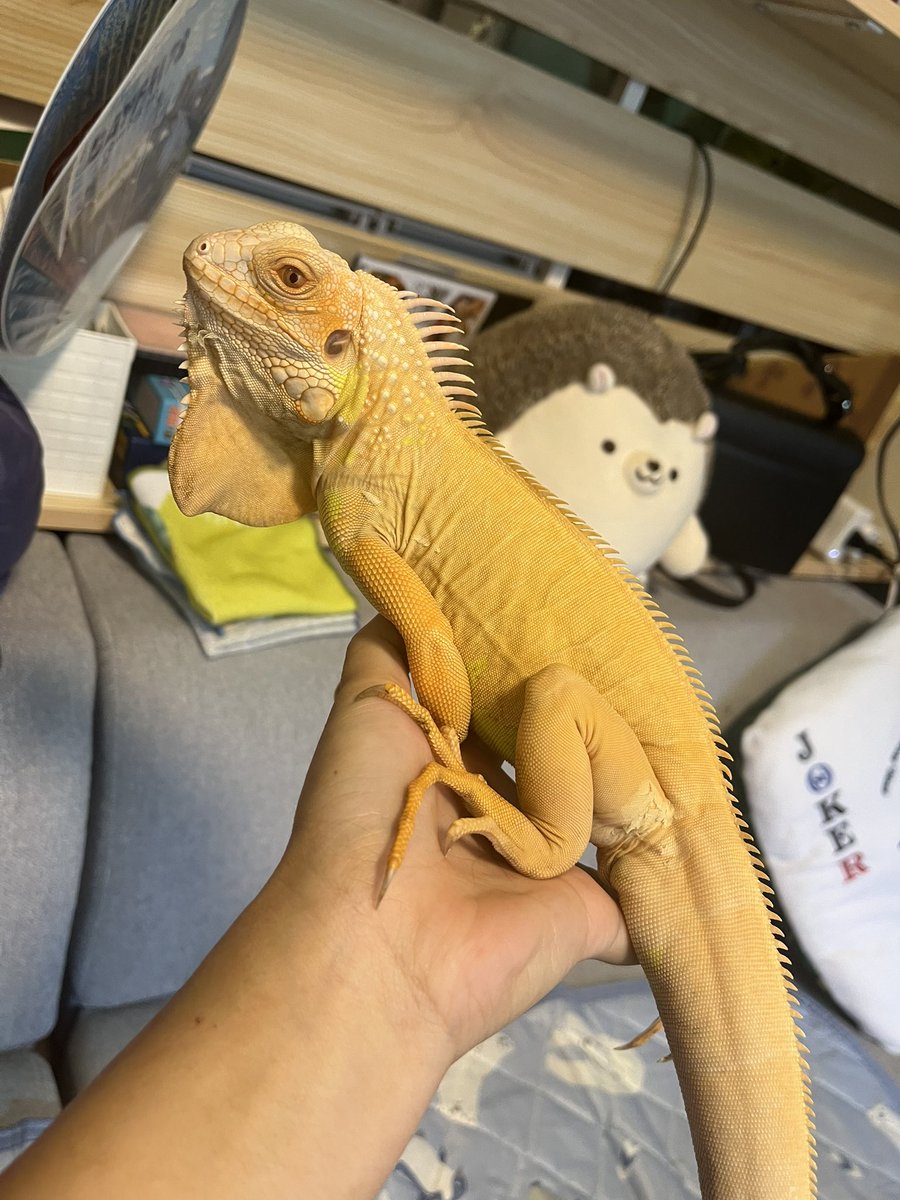 今日はのんびりしよーね