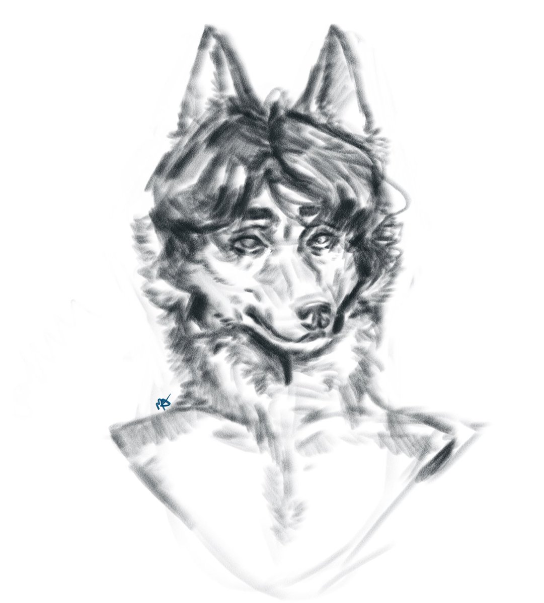 Hyrjaa's tweet photo. Practice sketch! 

#sketch #furry #furryartist https://t.co/Xn6mTq99Qp