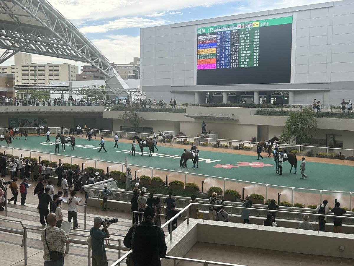 それにしても阪神のパドックの見やすさは特筆モノである。