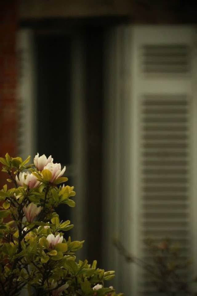 مکمل توڑ کر اے ضبط کی تلقین کرتے شخص!
ہماری چپ نہیں بنتی، ہمارا شور بنتا ہے