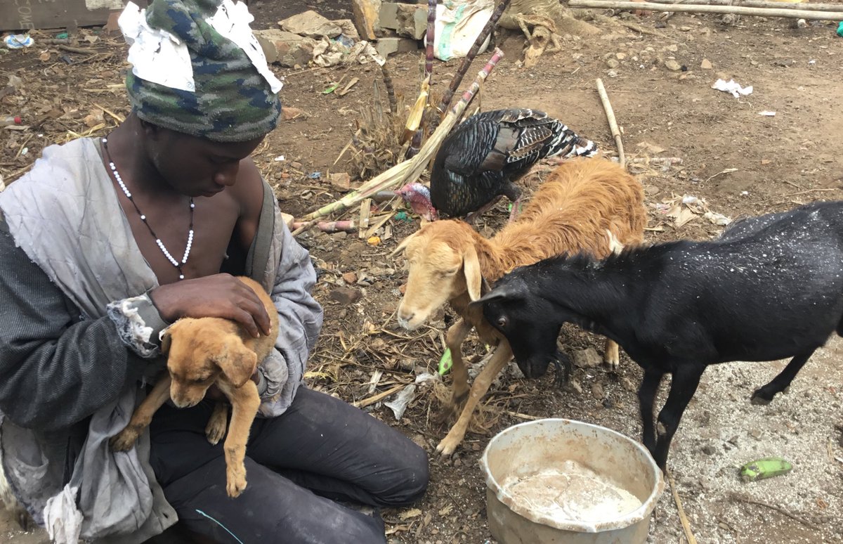 sengendo joseph3 tweet media