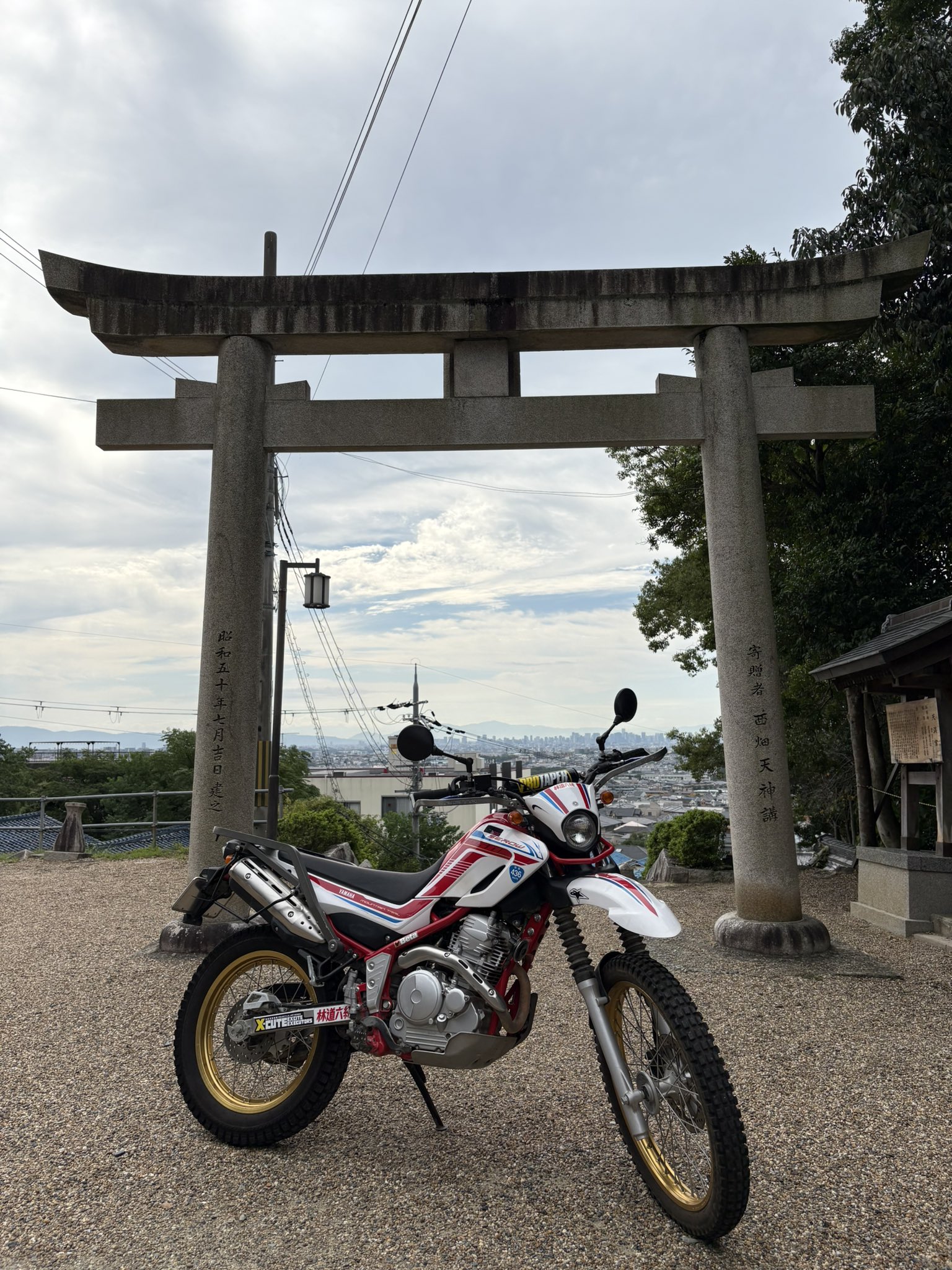 KIYOさま確認ページ♥ 𝕄𝕚𝕟𝕠 𝕂𝕚𝕪𝕠 (𝕞𝕠𝕟𝕘𝕪) (@MinoKiyo6) / X