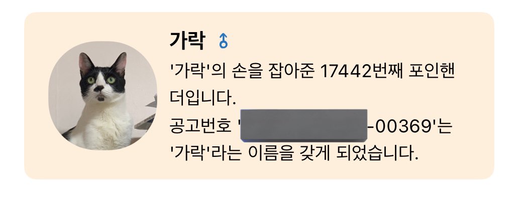 가락이는 락스타 tweet media
