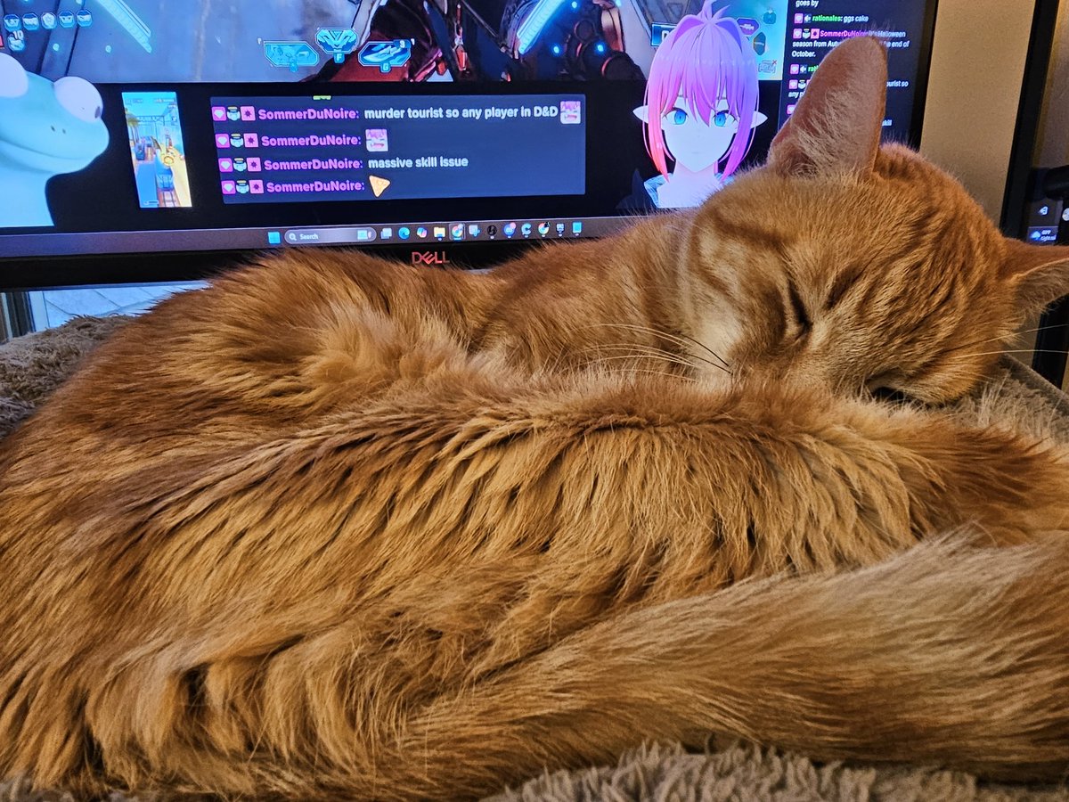 NinjaGato tweet media