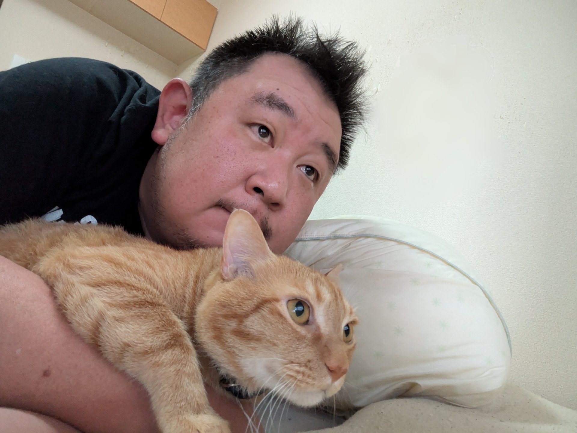 しば犬です。私の汗と涙が染み付いています。 しば犬です。私の汗と涙が染み付いています。 - メルカリ