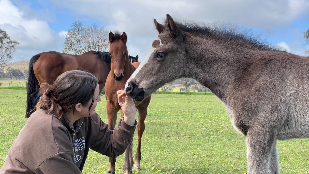 It’s baby season 🥹🥹