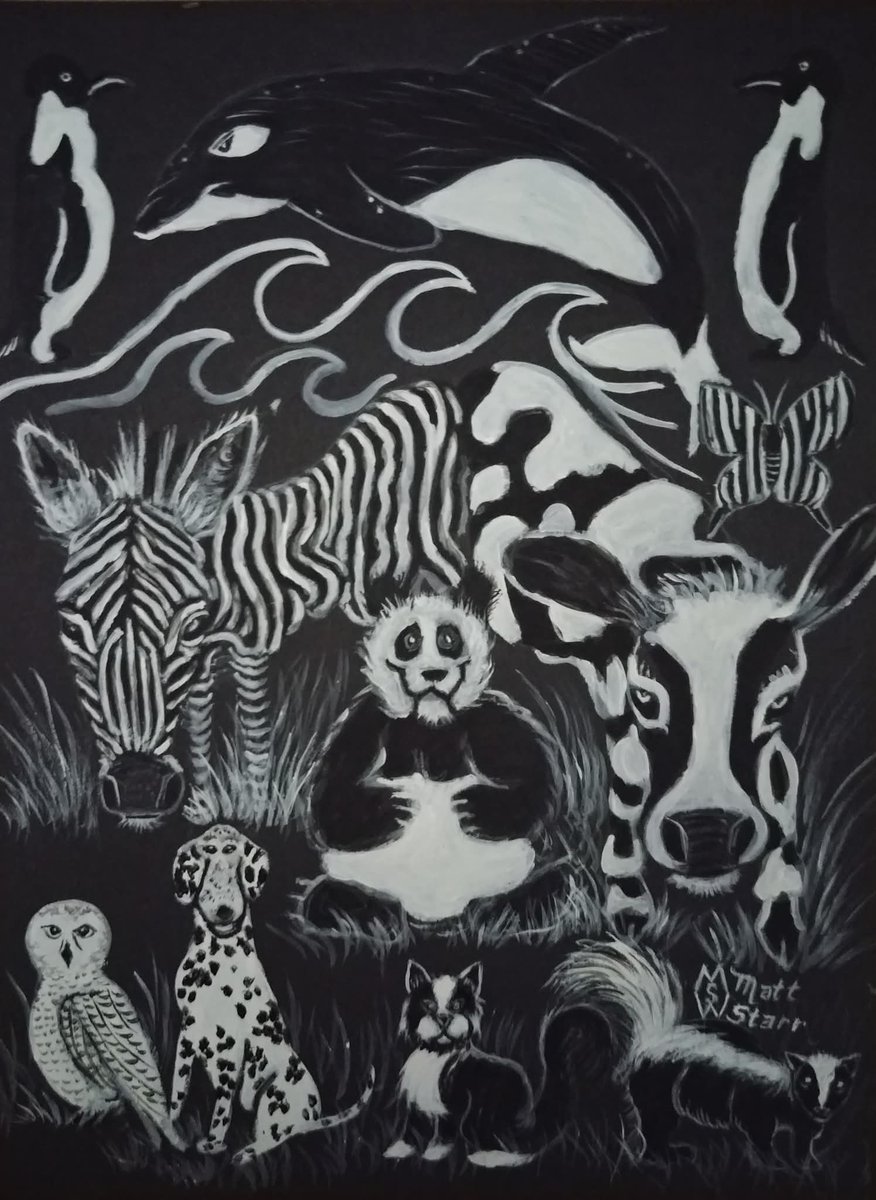 MattStarrFineA1's tweet photo. With acrylics, I painted this design of animals that are just black and white. https://t.co/kI5Cu6Tfla
#mattstarrfineart #art #paintings #giftideas #black #white #animal #animals #wildlife #killerwhale #penguin #skunk #cat #dalmation #owl #butterfly #panda #bear #zebra #cow https://t.co/W47nezWeBW