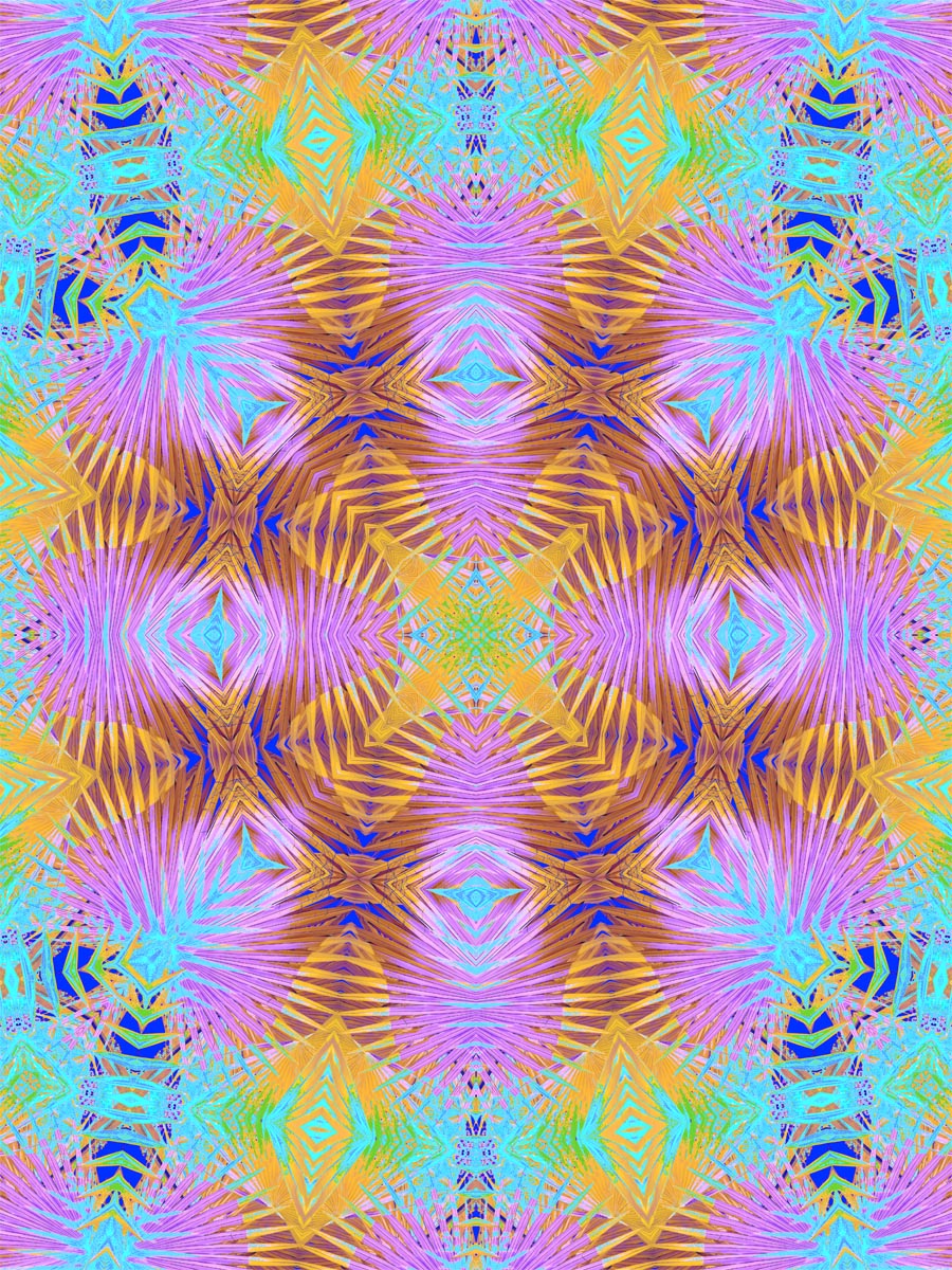 THANKS <a href="/artcrushgallery/">Artcrush</a> for sharing my work across the globe!!
Ltd.Edition on ZeroOne! Build exposure, save collections, make connections on "X" and  ZeroOne!
HAPPY #KaleidoSaturday my dear Artist family !!
zeroone.art/profile/hidann…  🔗⤵️
09/27 VENUS FLY TRAP !!