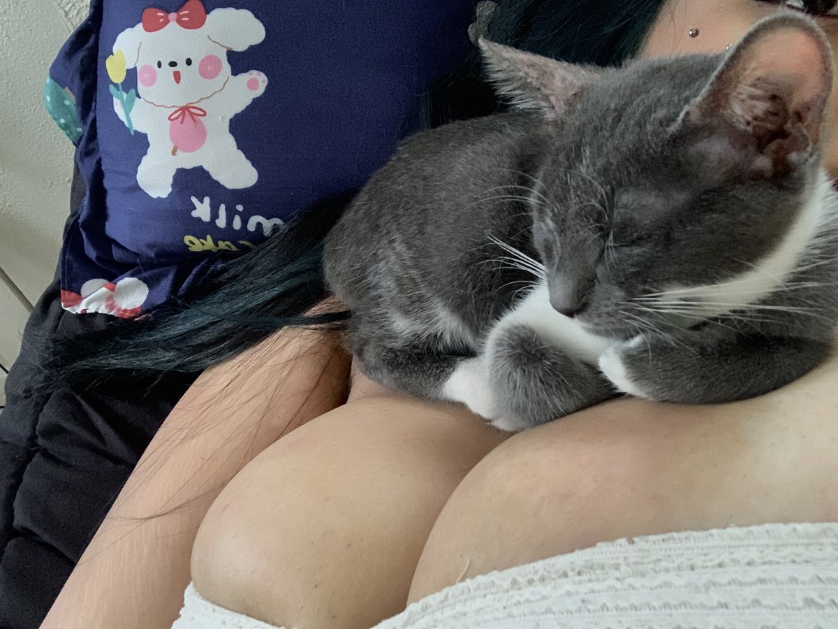 hopetoforget's tweet photo. my eepy baby https://t.co/KS9le20vWl