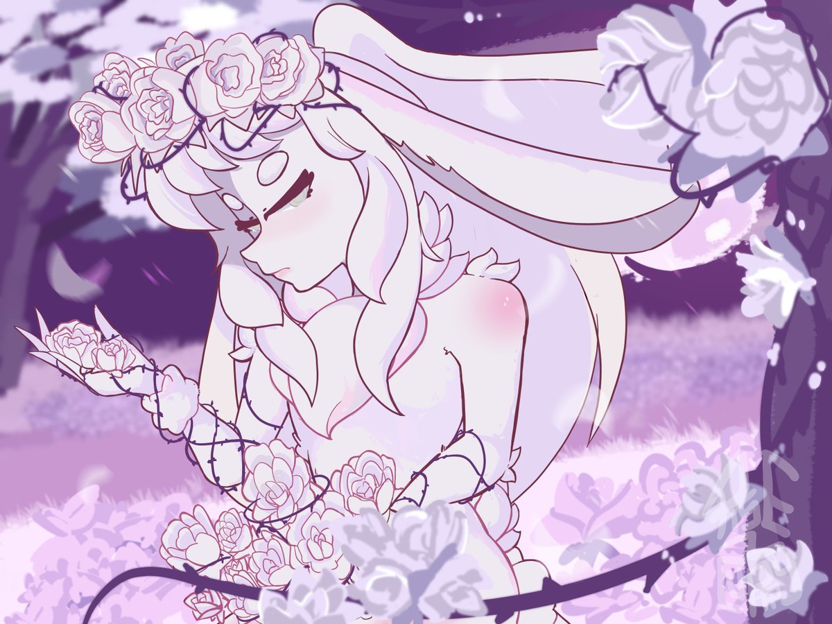 RISENCURRY 📛 tweet media